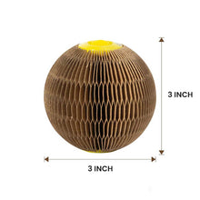 Load image into Gallery viewer, Dotmalls Magic Organ Cat Scratch Board.